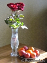 COMPOSITION COMPOSITION