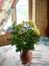 COMPOSITION COMPOSITION