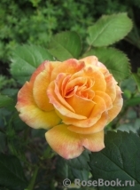 Gartenspass ® Gartenspass ®