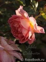 Jubilee Celebration® Jubilee Celebration®