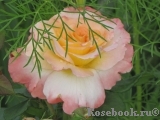 Pierre Tchernia Pierre Tchernia