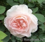 Abraham Darby Abraham Darby