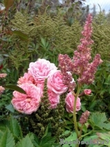 Home & Garden Home & Garden
