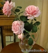Frederic Mistral® Frederic Mistral®