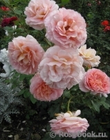 Abraham Darby Abraham Darby