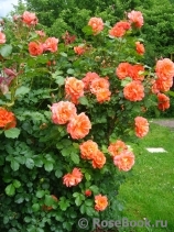 Westerland Westerland