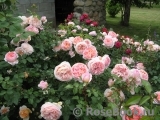 Abraham Darby Abraham Darby