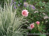 A Shropshire Lad A Shropshire Lad