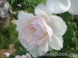 Generous Gardener, The Generous Gardener, The