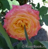 Gartenspass ® Gartenspass ®