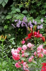 Rosarium Uetersen Rosarium Uetersen