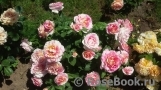 Claude Monet Claude Monet