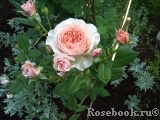 A Shropshire Lad A Shropshire Lad