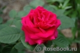 Baron De Bonstetten Baron De Bonstetten