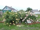 Abraham Darby Abraham Darby