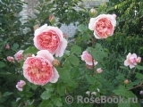 Abraham Darby Abraham Darby
