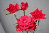 Red Intuition