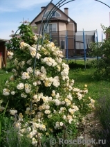 Ghislaine de Feligonde Ghislaine de Feligonde