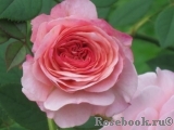 A Shropshire Lad A Shropshire Lad