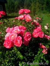 Mein schoner Garten Mein schoner Garten