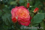 Gartenspass ® Gartenspass ®