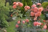 Westerland Westerland