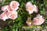 Abraham Darby Abraham Darby