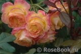 Gartenspass ® Gartenspass ®