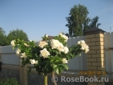 Nadia Meillandecor Nadia Meillandecor