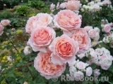 Abraham Darby Abraham Darby