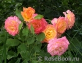 Gartenspass ® Gartenspass ®