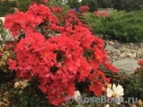 Stadt Rom Stadt Rom