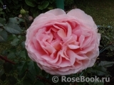 Abraham Darby Abraham Darby