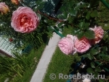 Abraham Darby Abraham Darby