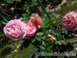 Abraham Darby Abraham Darby