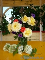 COMPOSITION COMPOSITION