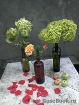 COMPOSITION COMPOSITION