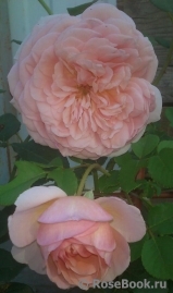 Abraham Darby Abraham Darby