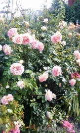 Abraham Darby Abraham Darby