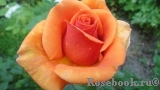 Ashram Ashram
