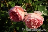 Abraham Darby Abraham Darby