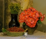 COMPOSITION COMPOSITION