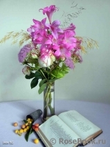 COMPOSITION COMPOSITION