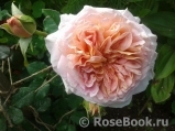 Abraham Darby Abraham Darby