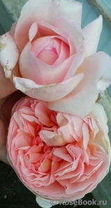 Abraham Darby Abraham Darby
