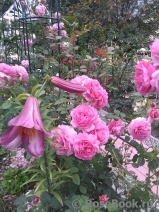 Gertrude Jekyll Gertrude Jekyll