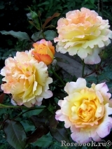 Catherine Laborde Catherine Laborde