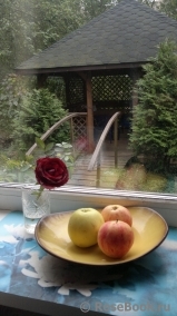COMPOSITION COMPOSITION