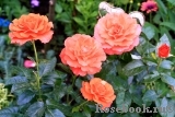 For You With Love For You With Love