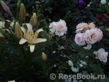 Abraham Darby Abraham Darby